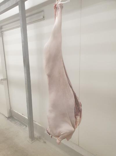 상품 썸네일 이미지